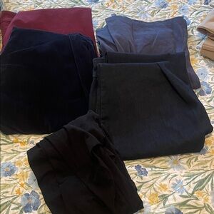 Women's Pants in Black, Blue, and Burgundy